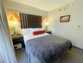 Stylish Aqua Palms Studio